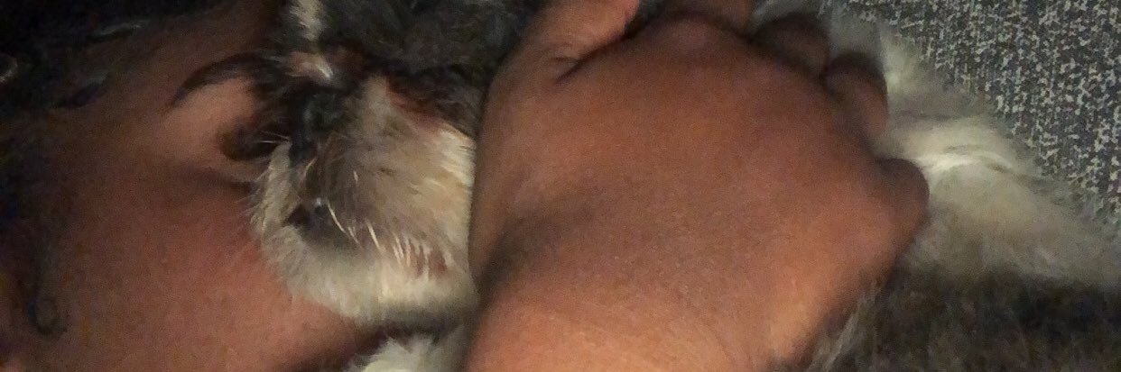_bellagsx's profile banner image