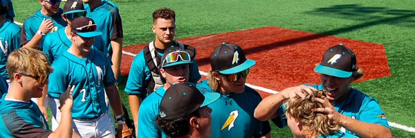 NunezCCBaseball Profile Banner