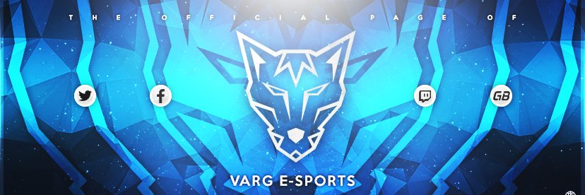 Varg_eSports's profile banner image