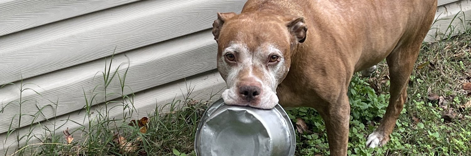 Tdiggity🇺🇸 banner