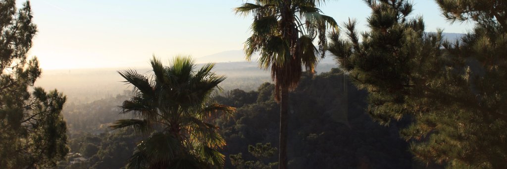 niktalreja's profile banner image