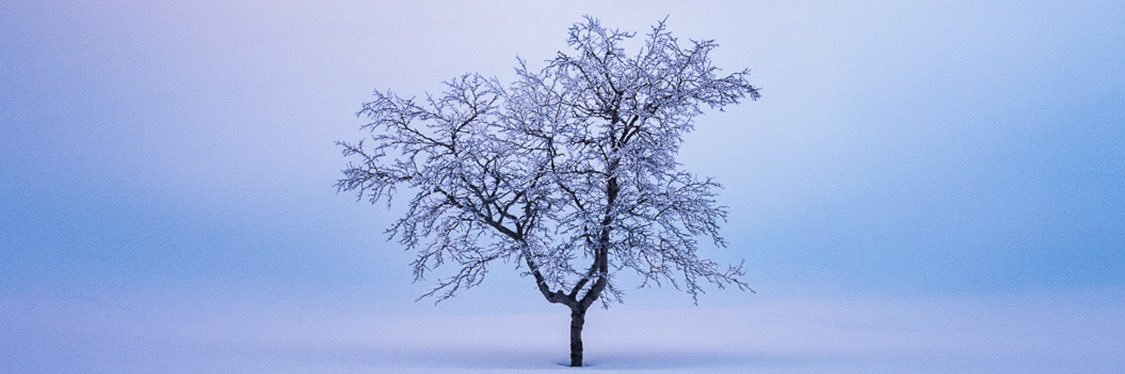 JerzyCamber's profile banner image