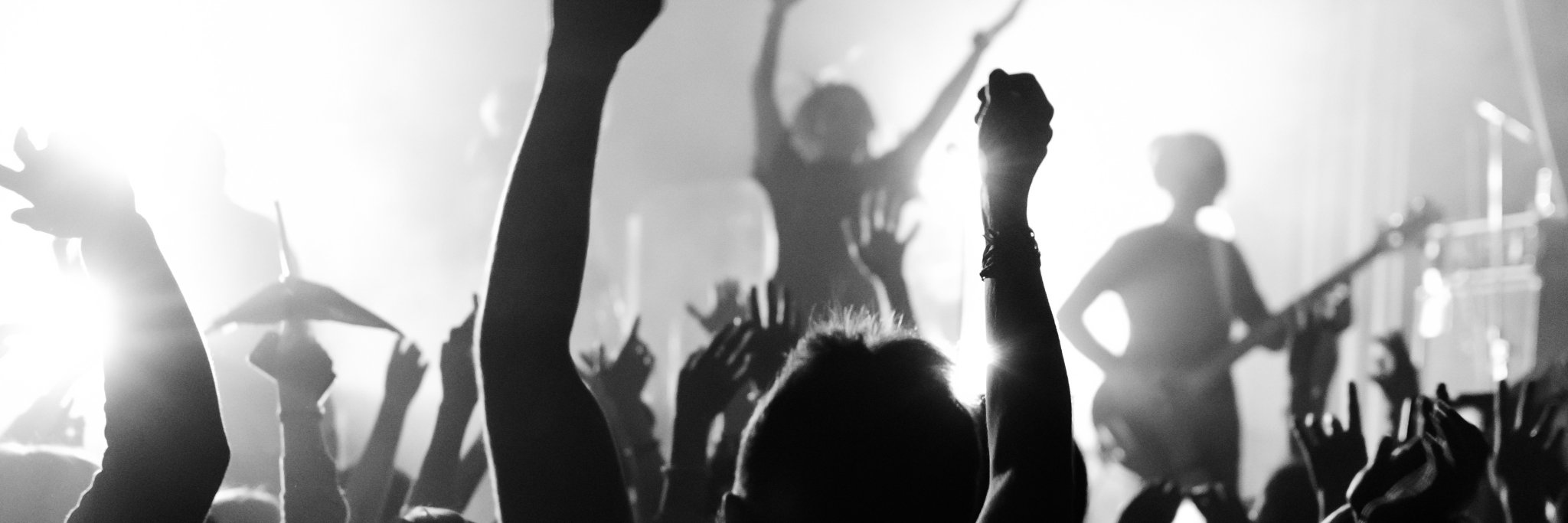 Conure_Music's profile banner image