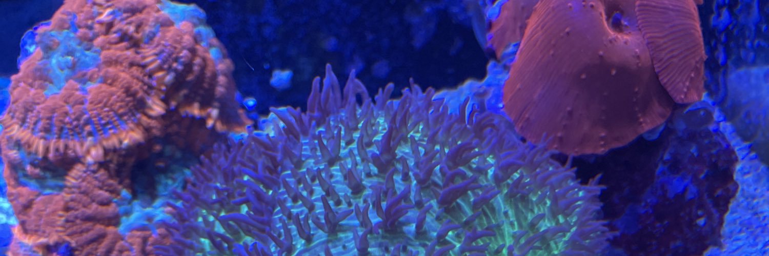 PhilHamel2's profile banner image