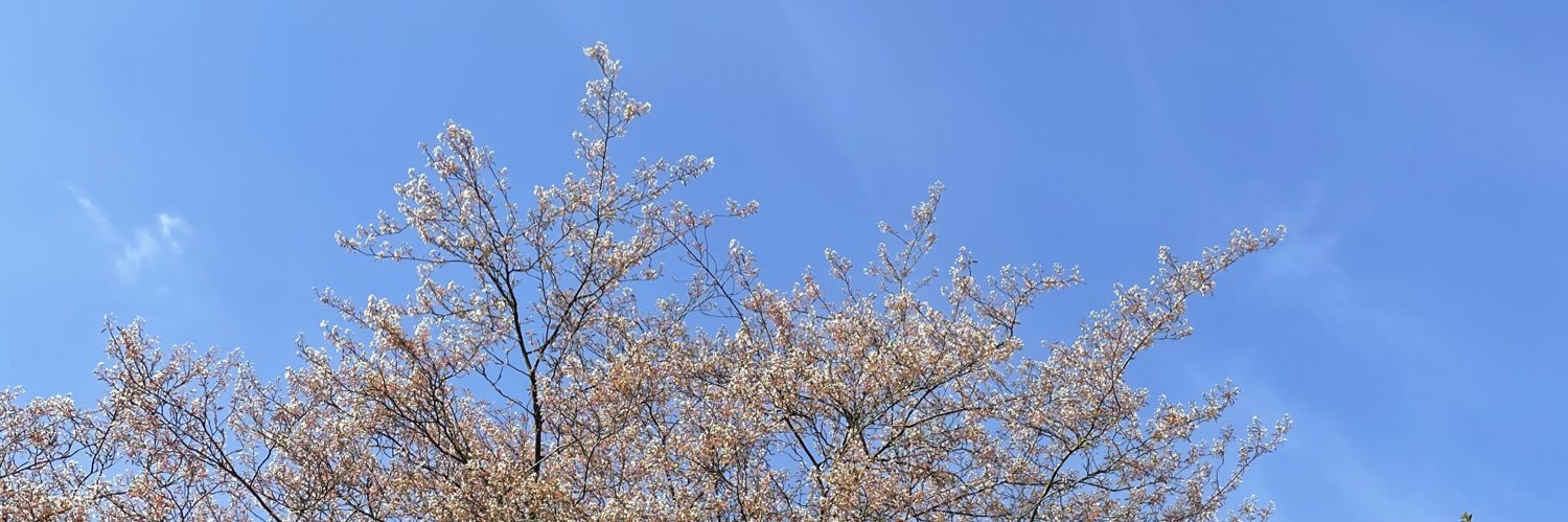 Rosie Foster banner