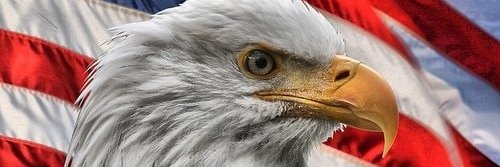 nicobuilt's profile banner image