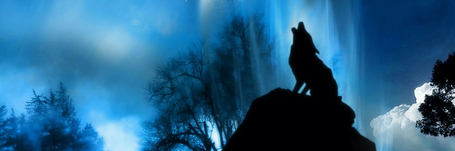Catofninelives's profile banner image
