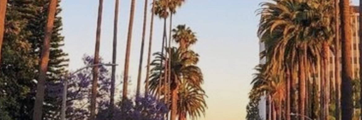 Dojarackss's profile banner image