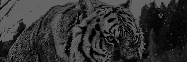 BenZoWavy Profile Banner