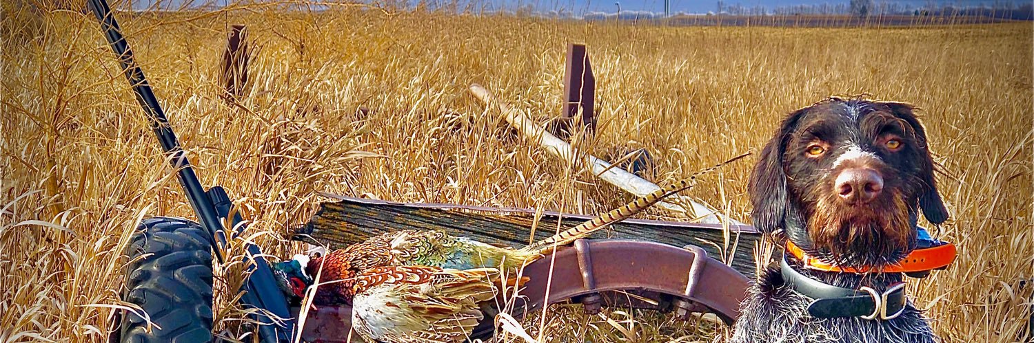hazelrunfarmer's profile banner image