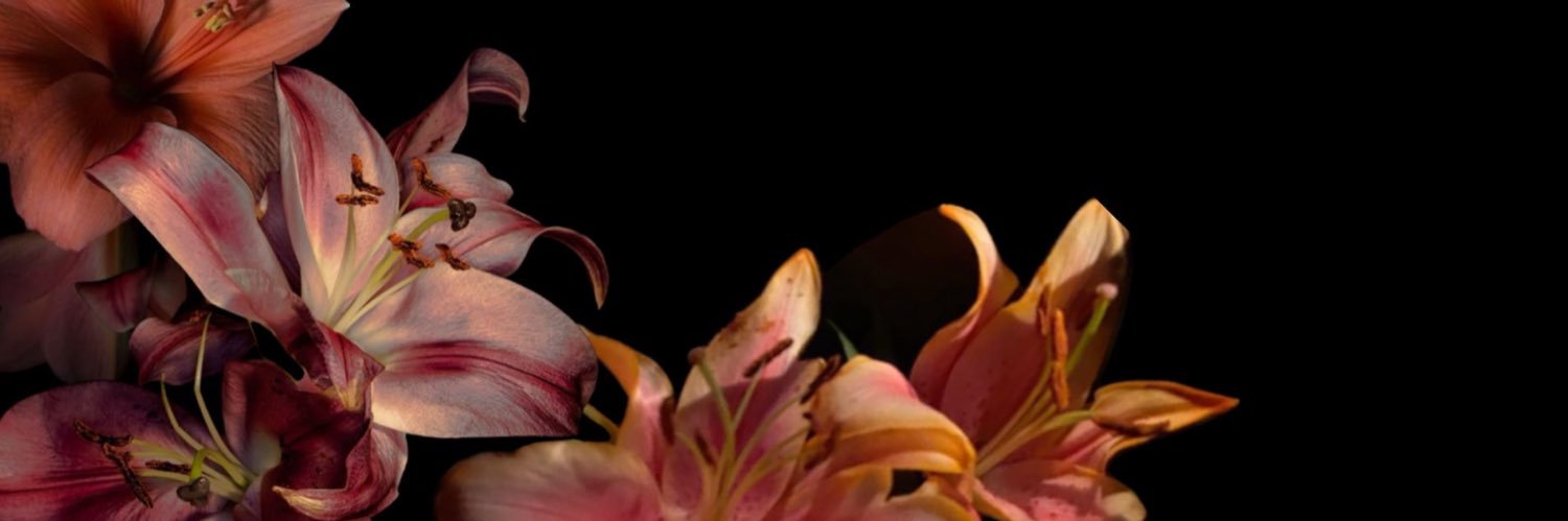 narcpisces's profile banner image