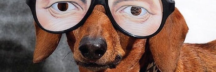 zoolecky's profile banner image