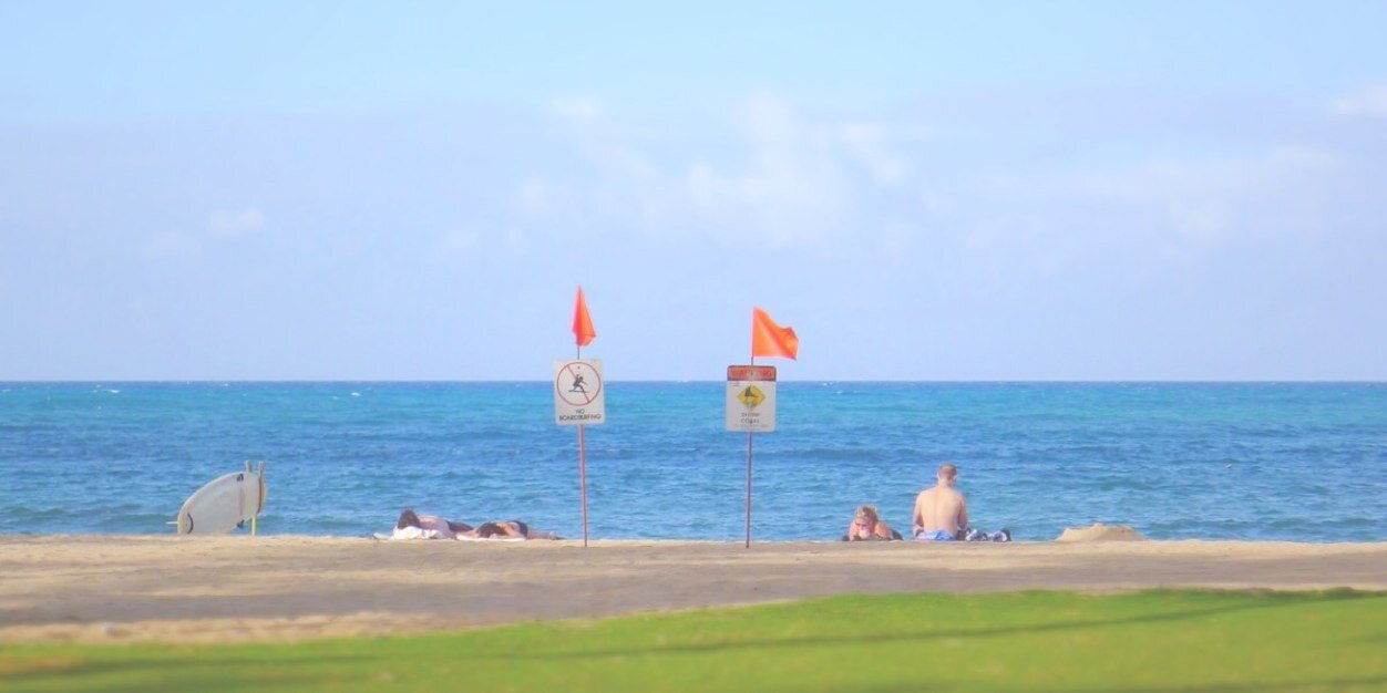 sararico's profile banner image