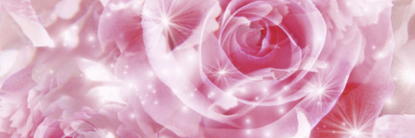 SarahFrancisx's profile banner image