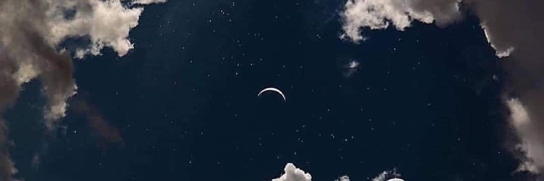 Alejandra 🌻 banner