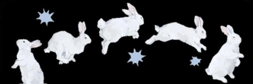 imamarylis's profile banner image