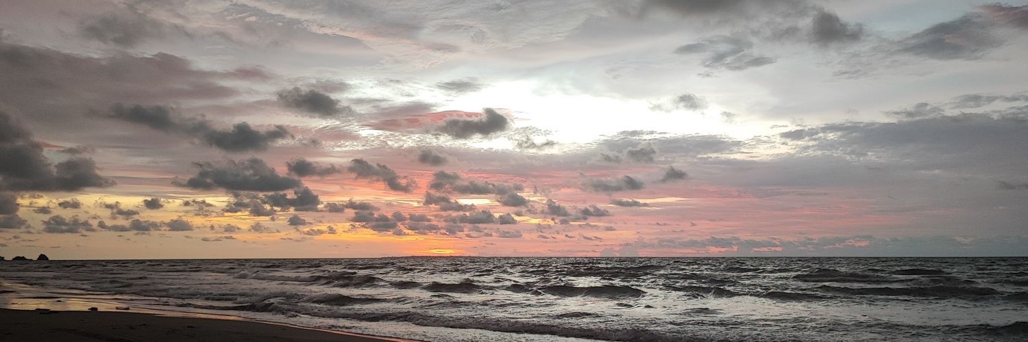 ClaraInesTrivi2's profile banner image