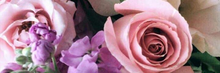 miperez63's profile banner image