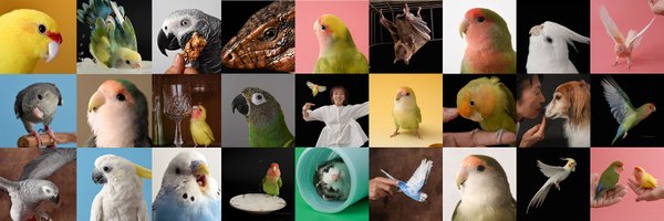 photosgo Profile Banner
