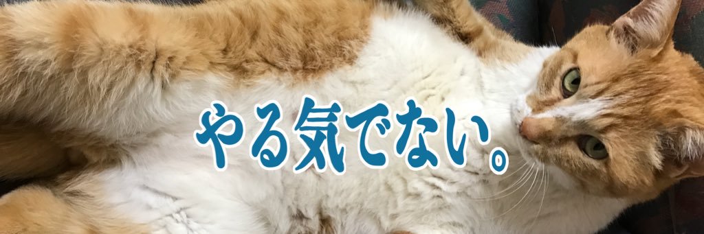 🐈猫茶🍵 banner