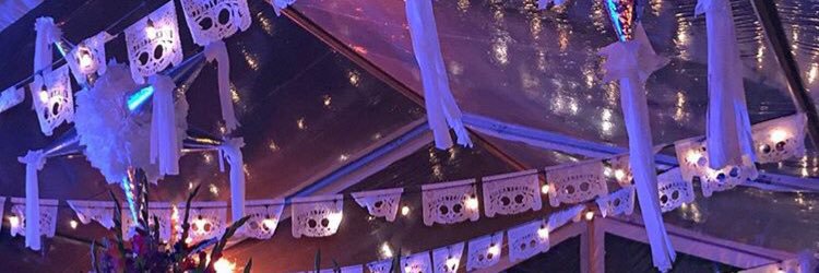 Elisabelrl's profile banner image