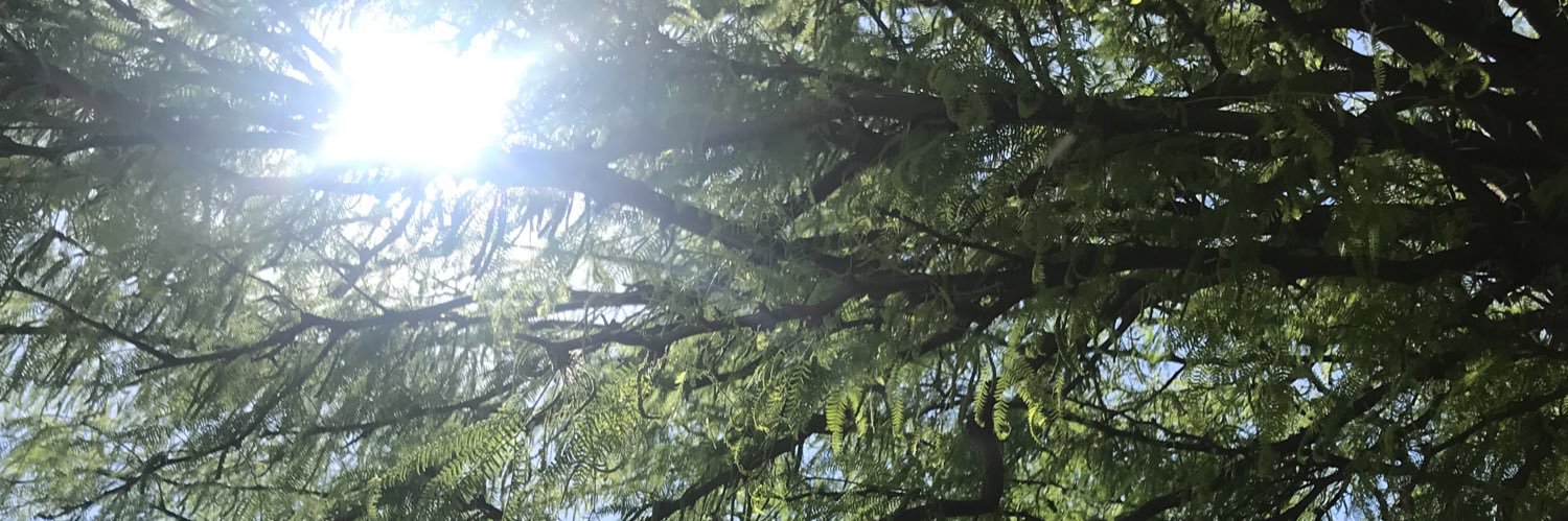 nicoJ80's profile banner image