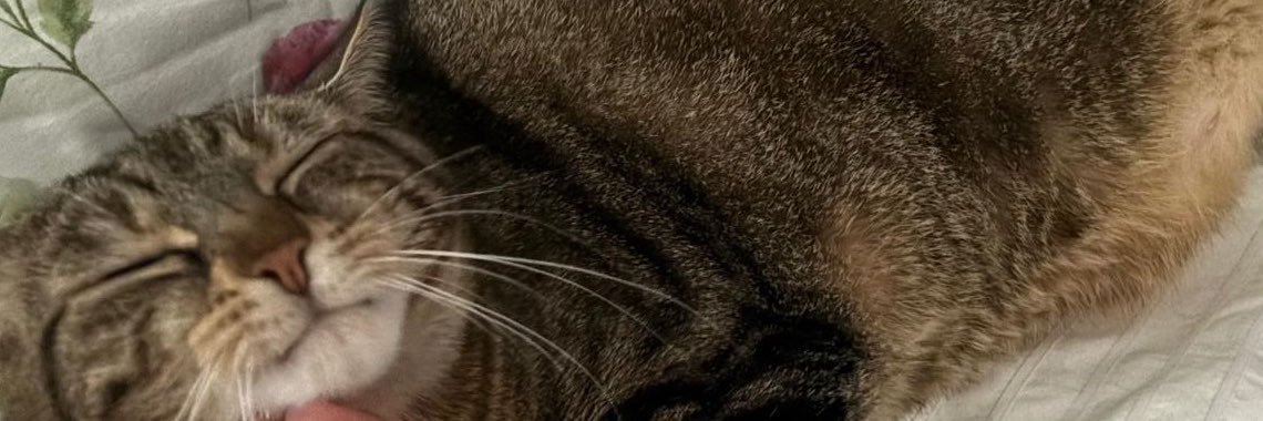 drmseliny's profile banner image
