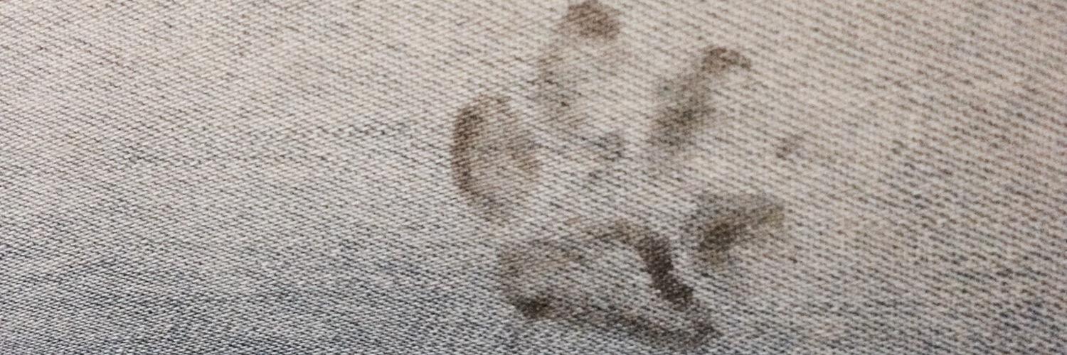 AlmiIe19's profile banner image