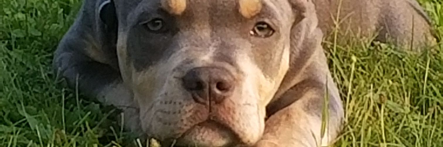 BarkleyRichard's profile banner image