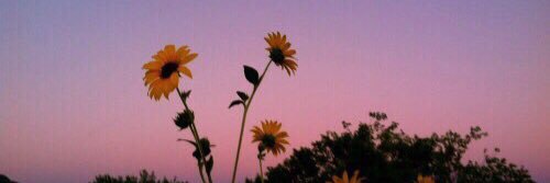 cami_tami10's profile banner image