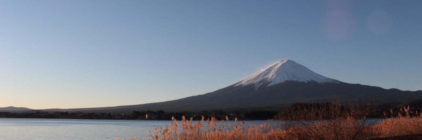 proto_plast's profile banner image