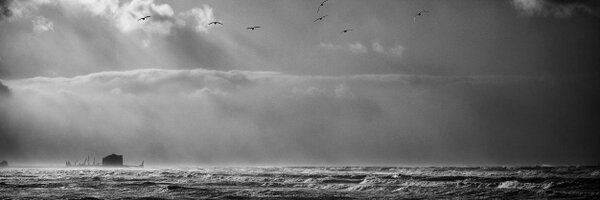 I_Ali87 Profile Banner