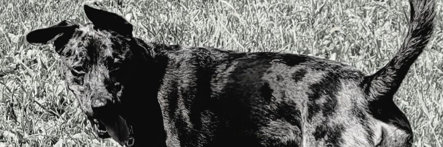 Gailstorm76's profile banner image