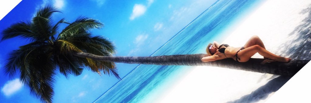 ciaramuller's profile banner image