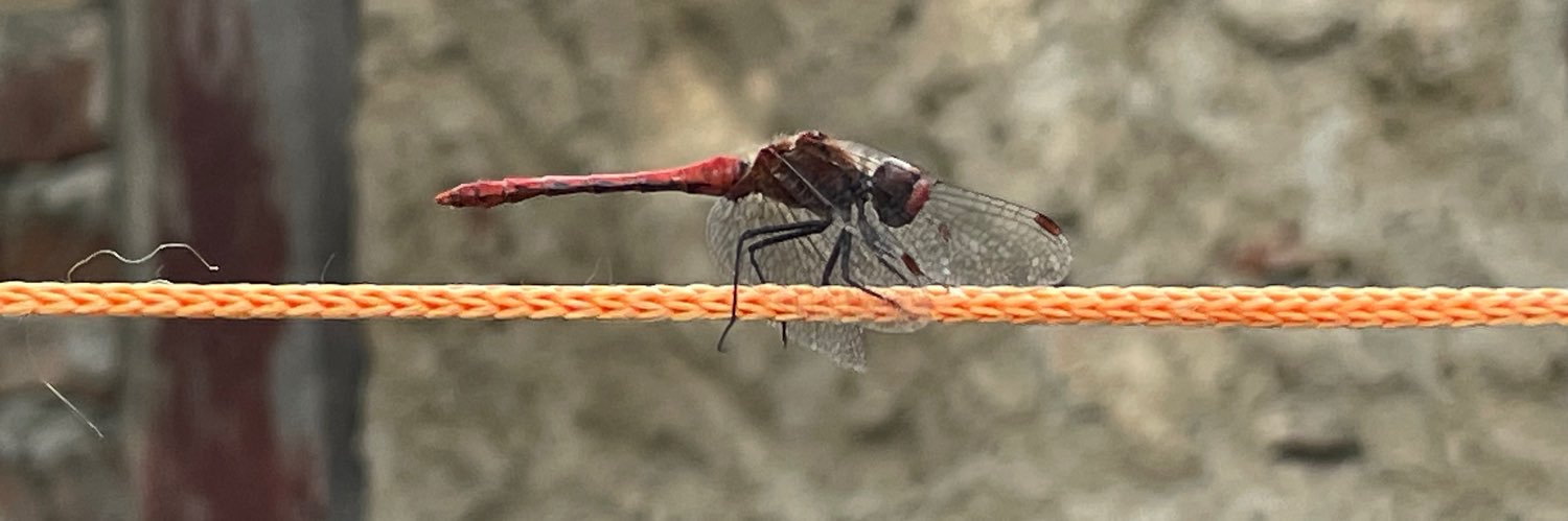 Hans-Joachim Götsche banner