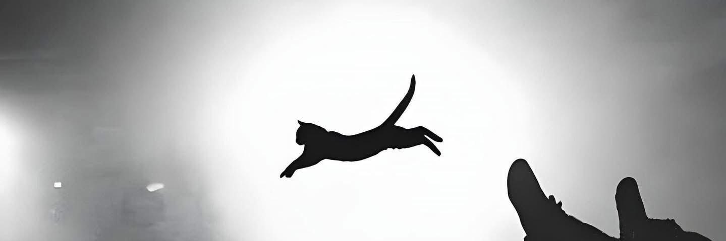 Fer_mdoza's profile banner image
