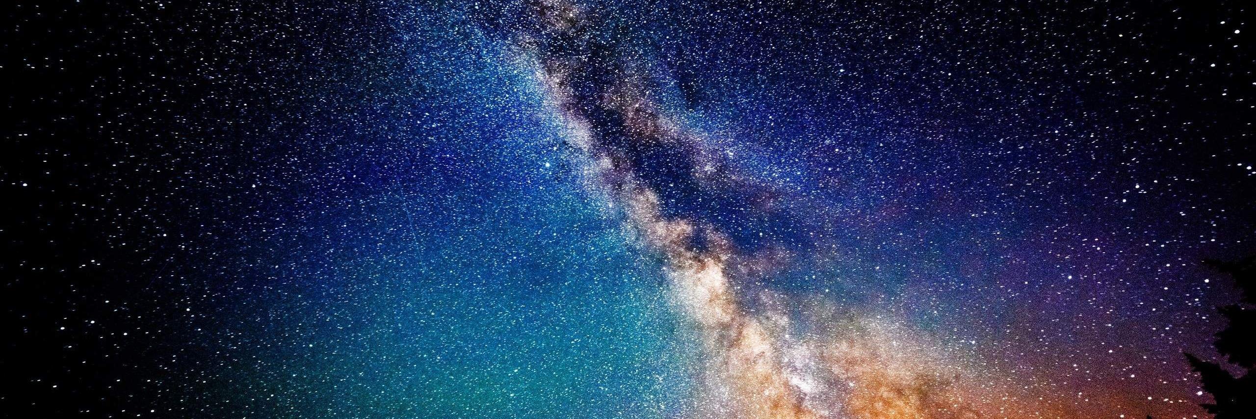 whimsyavi's profile banner image