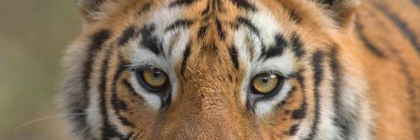Amoldighe10 Profile Banner