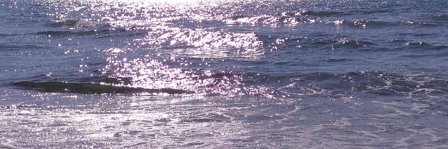 The Bright Side Roma banner