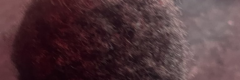 Armando Marrero banner