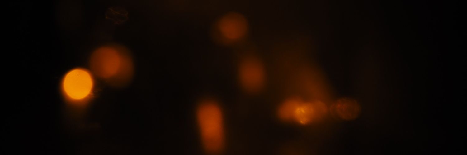 𝘗 banner
