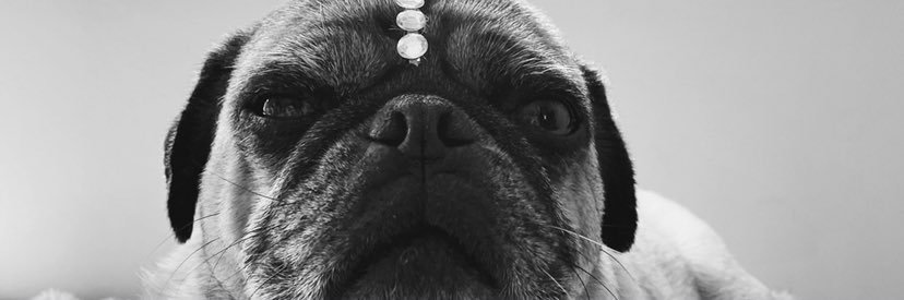 chiquizaaa's profile banner image