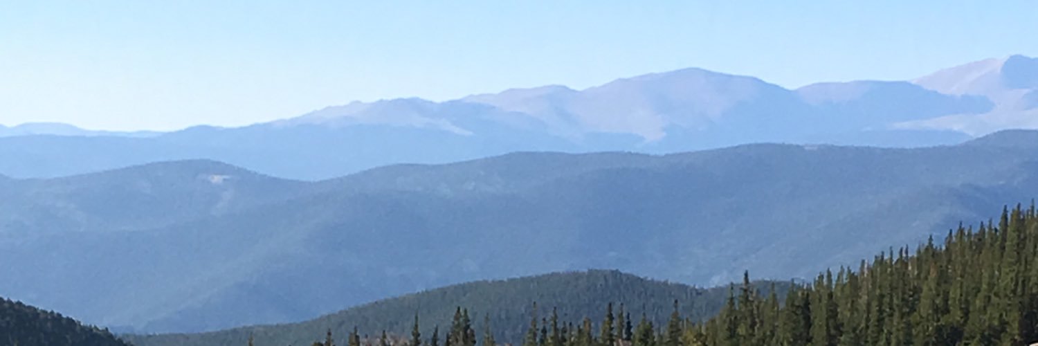 adelesyv's profile banner image