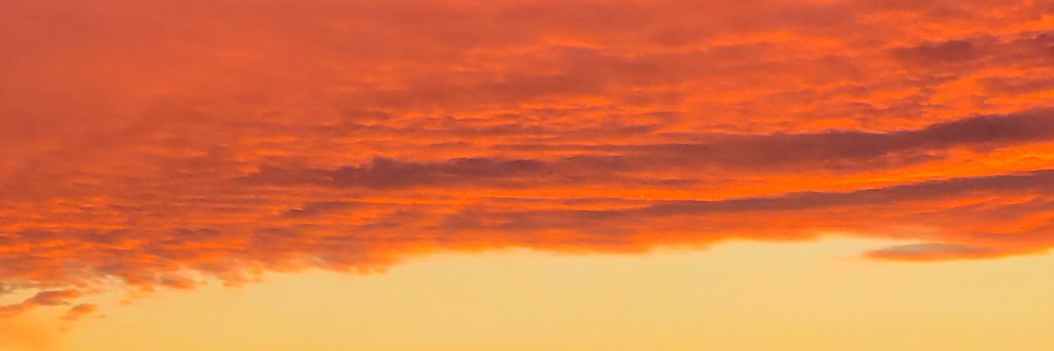 ILCapita10🐺 banner