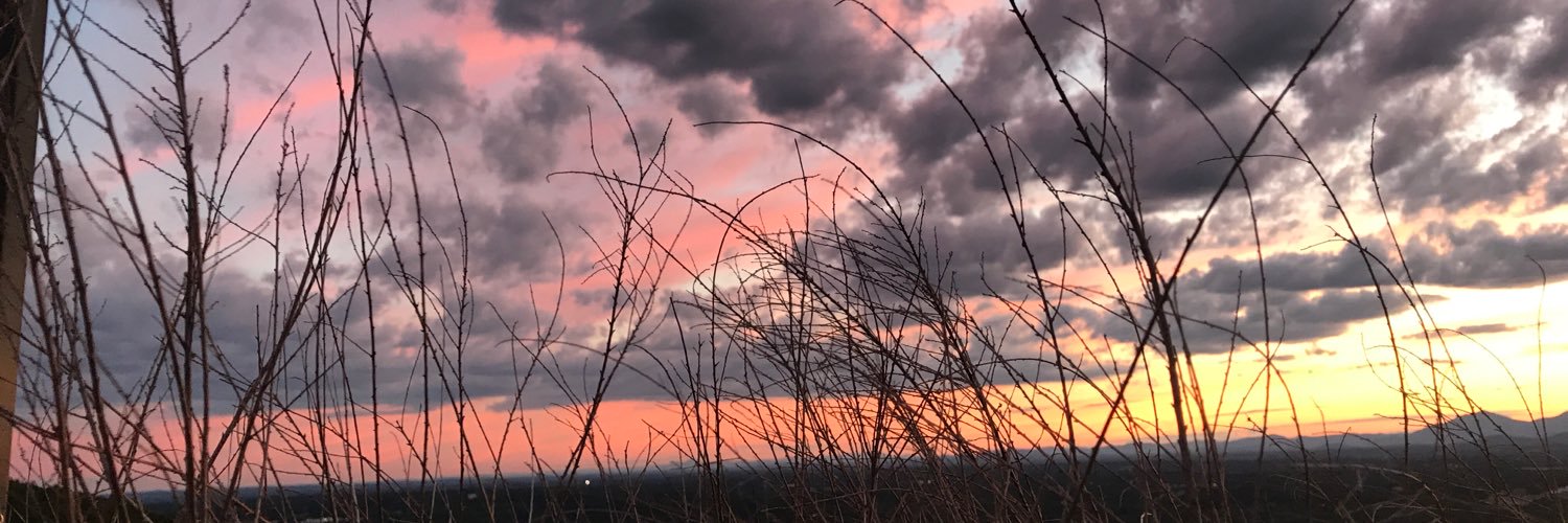 SamCooper11117's profile banner image