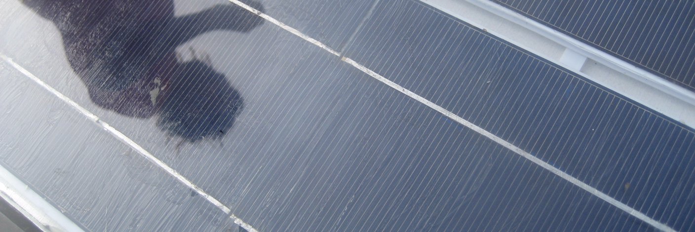 greengoproject's profile banner image
