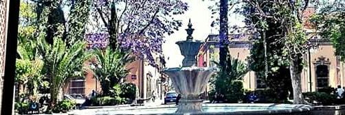 Luz_potosina's profile banner image
