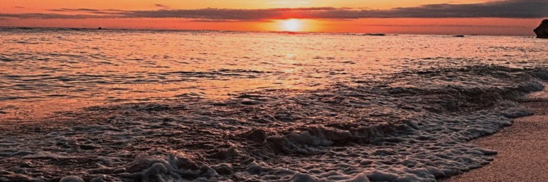 難民のためのswitch入荷情報 banner