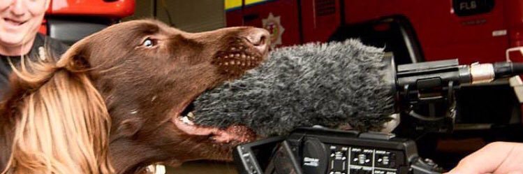 jaredseinfeld's profile banner image