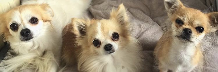 t_donx's profile banner image